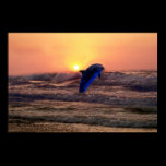 Dolphin at sunset posters