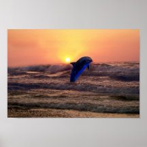 Dolphin at sunset print