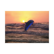 Dolphin at sunset stretched canvas print