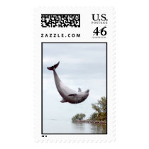 Dolphin Back Flip postage by lwestberg Dolphin Back Flip postage