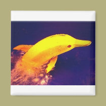 Dolphin Banana magnets
