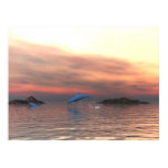Dolphin Beach