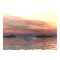 Dolphin Beach posters