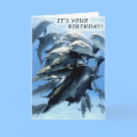 Dolphin birthday party cards by rescue_ranch Dolphin birthday party cards