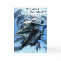 Dolphin birthday party card