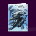 Dolphin birthday party