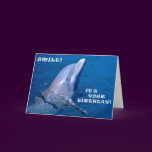 Dolphin birthday smile