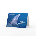 Dolphin birthday smile cards