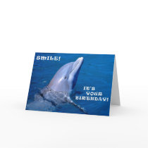 Dolphin birthday smile cards by rescue_ranch Dolphin birthday smile cards