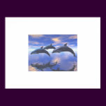 Dolphin Bliss