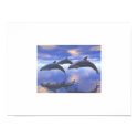 Dolphin Bliss posters