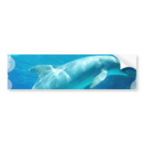 Dolphin Bubbles Bumper Sticker