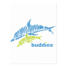 Dolphin Buddies Post Card