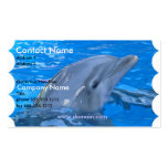 Dolphin Business Card