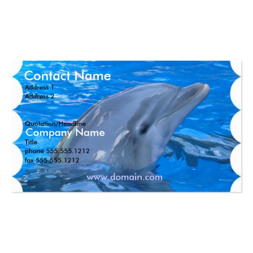 Dolphin Business Card (front side)