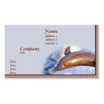 Dolphin business cards