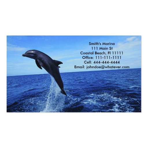 Dolphin Business-Personal Card Business Card Templates