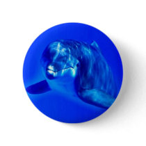 Dolphin Pin