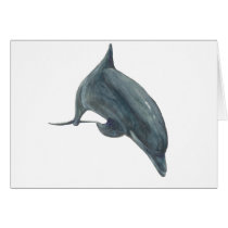 Dolphin cards by Wildlife_products Dolphin cards