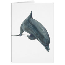 Dolphin cards by Wildlife_products Dolphin cards