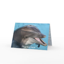 dolphin, card by photographs dolphin, card