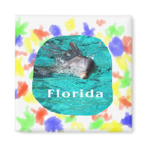 dolphin coming out of teal clear water florida magnets