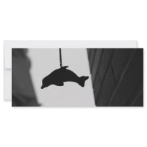 Dolphin Cutout