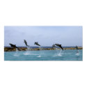 Dolphin Dance posters by telane Dolphin Dance posters