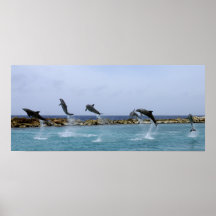Dolphin Dance Posters