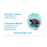 Dolphin Design Business Card