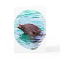 Dolphin Design Greeting Card