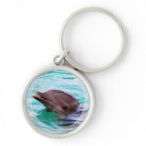 Dolphin Design Keychain