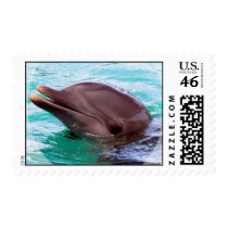 Dolphin Design Postage Stamp