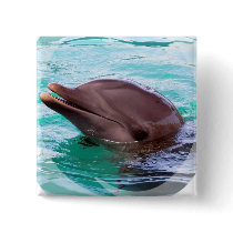 Dolphin Design Square Pin