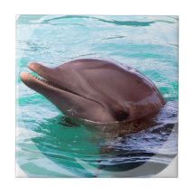 Dolphin Design Tile