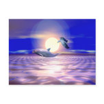 Dolphin Diversion Postcards