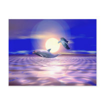 Dolphin Diversion postcards