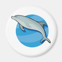 Dolphin Dolphins Marine Mammals Blue Ocean Animal Magnet