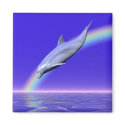 Dolphin Download magnets by Peerdrops Dolphin Download magnets