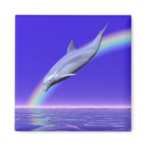 Dolphin Download magnets