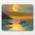 Dolphin Dreams