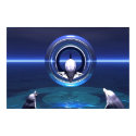 Dolphin Dreams posters