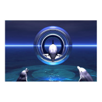 Dolphin Dreams posters