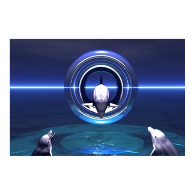 Dolphin Dreams Posters by SubconsciousIllusion