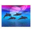 Dolphin Dreams posters by trippyguy420 Dolphin Dreams posters