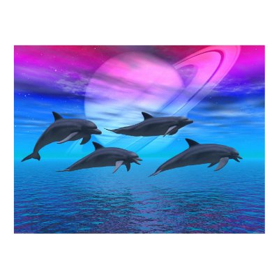 Dolphin Dreams Poster by trippyguy420