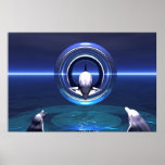 Dolphin Dreams Posters