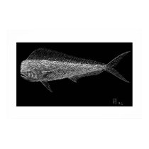 Dolphin fish posters by hkfass Dolphin fish posters