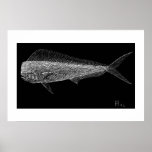 Dolphin fish posters