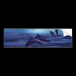 Dolphin fun and play bumper stickers